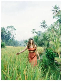 Rice fields around Jogja